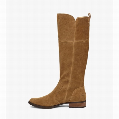 Botas UGG Sorensen Mulher Marrom | PT-MFOJT